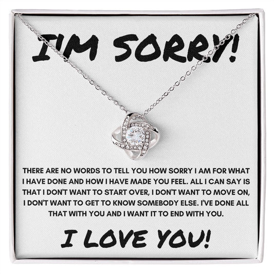 I'm Sorry / Love You / V1
